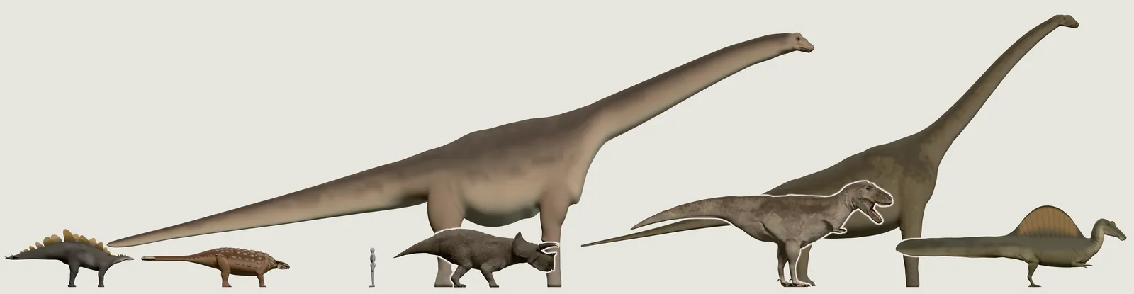 Seven dinosaurs in a row from the side, two with long necks towering over the rest, and a grey person who looks tiny beside them.