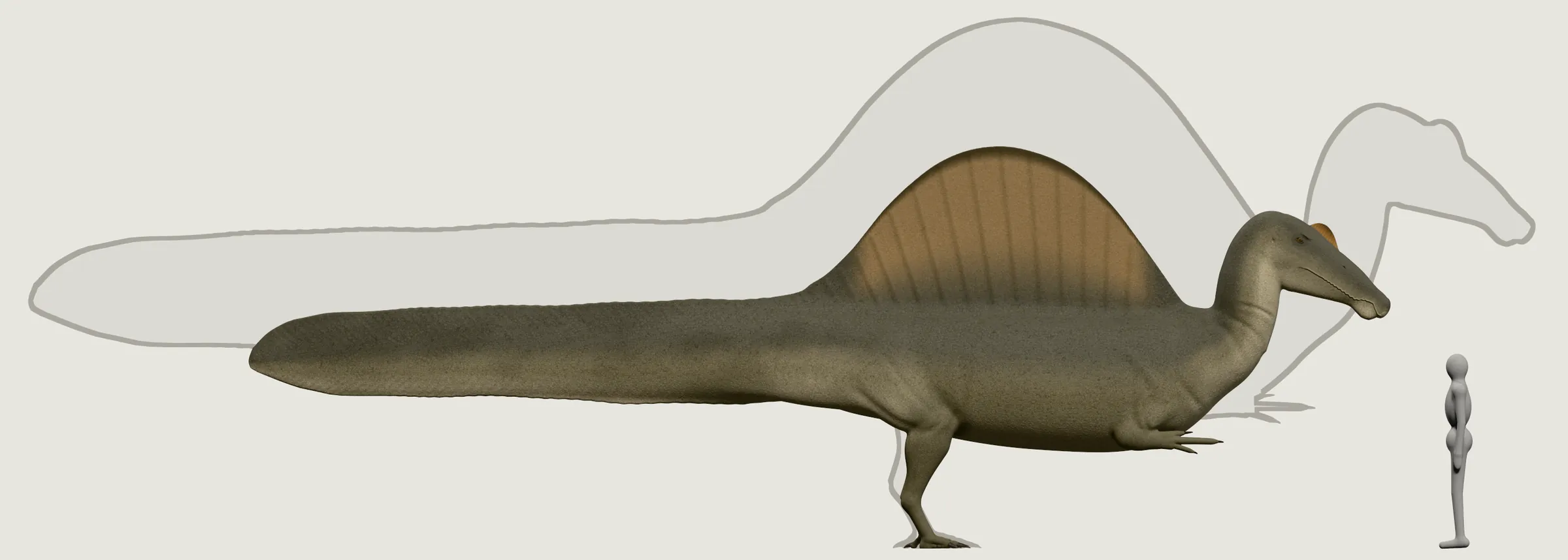 A Spinosaurus with a tall sail and a deep tail, the pale outline of a larger adult behind it, beside a grey person who reaches its hip.