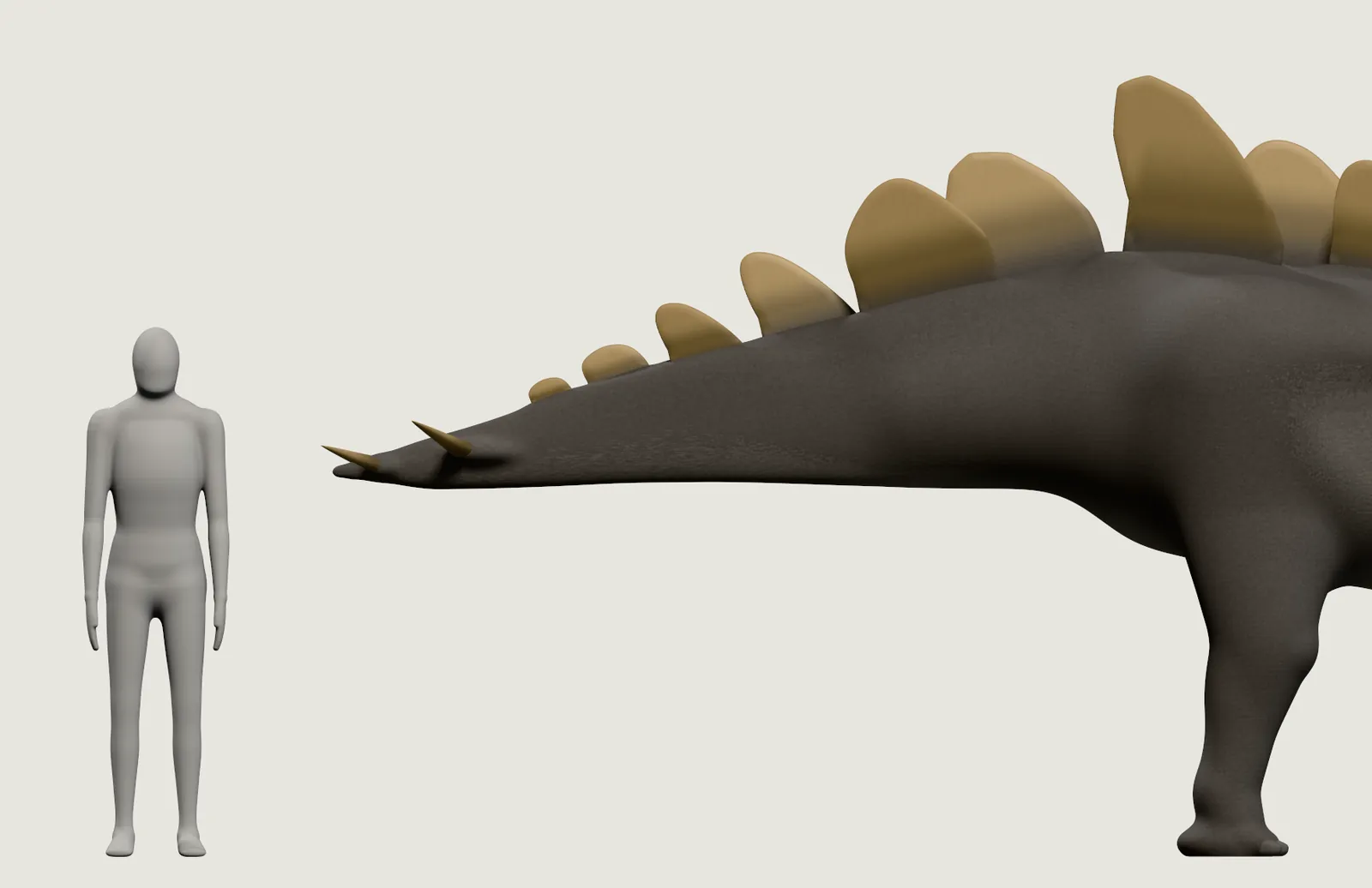 El lomo y la cola del Stegosaurus más de cerca: placas altas sobre la cadera, que se elevan por encima de la cabeza de la persona gris, y dos de sus cuatro púas de la cola, a la altura del pecho de la persona.