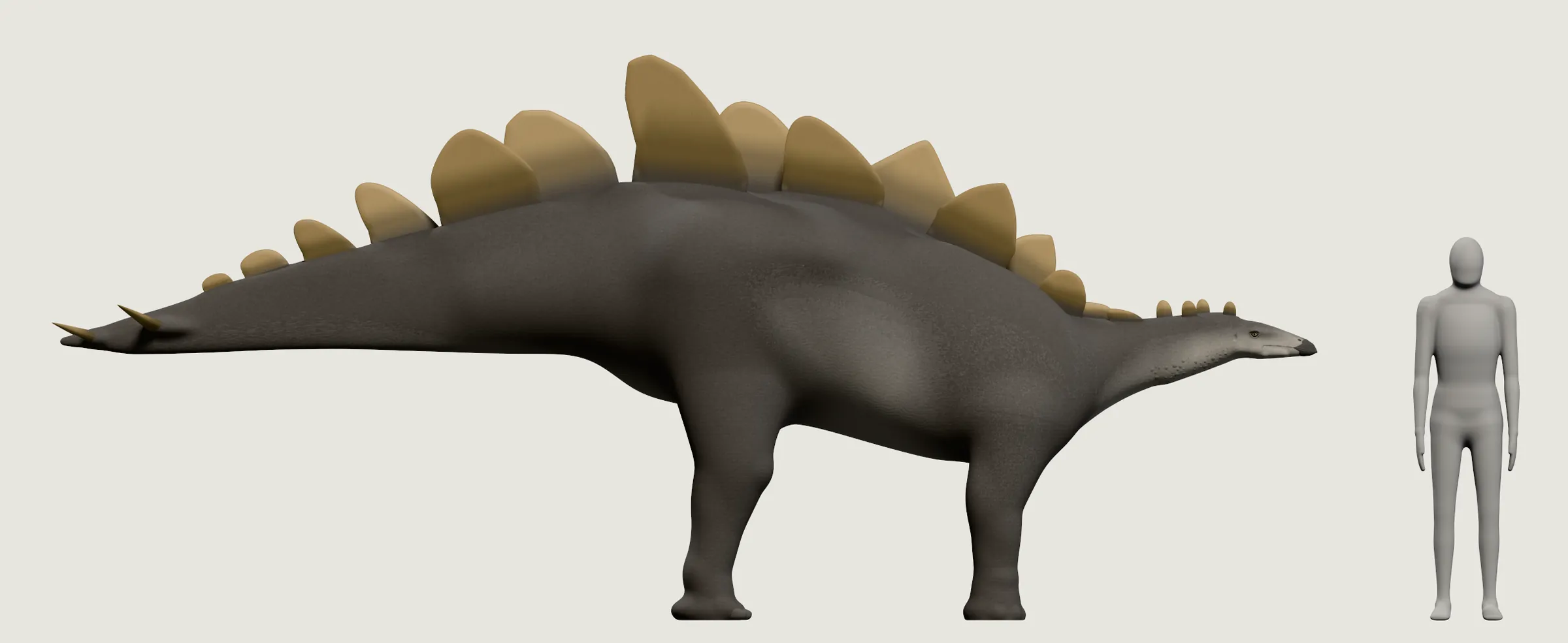 Un Stegosaurus de lado: una cabeza pequeña y baja, dos filas de placas altas a lo largo del lomo arqueado, dos de sus cuatro púas de la cola y las patas delanteras más cortas que las traseras. A su lado, una persona gris con la cabeza por debajo de lo alto del lomo.