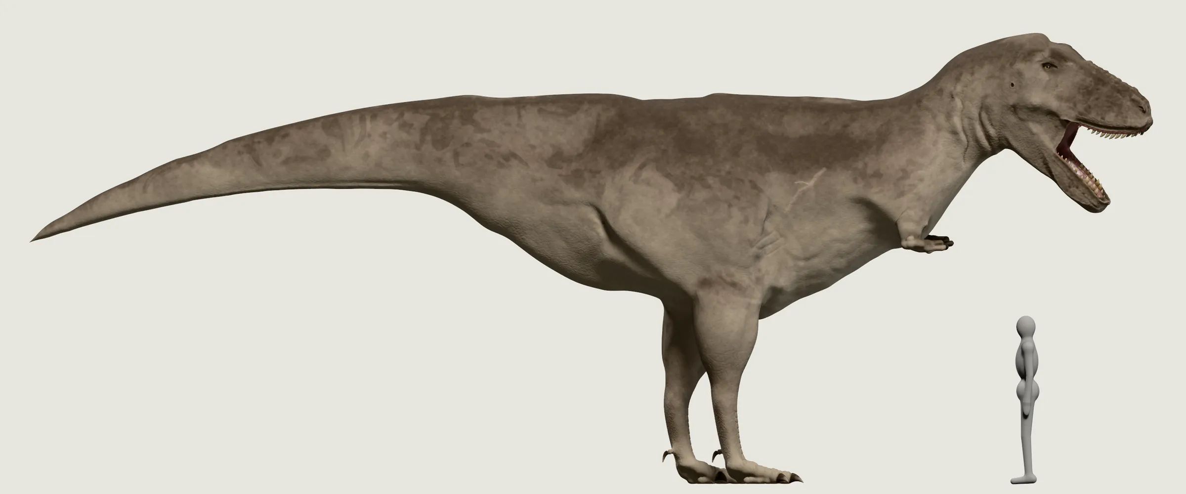 A T. rex from the side on two legs, mouth open and head raised, beside a grey person who does not reach its knee.
