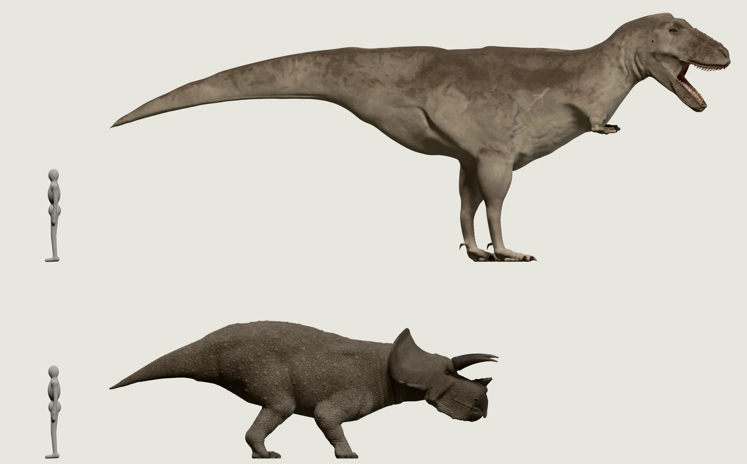 Ein Triceratops auf vier Beinen und ein T. rex auf zwei, beide von der Seite in dieselbe Richtung gewandt, der T. rex länger und an der Hüfte viel höher, daneben der graue Mensch.