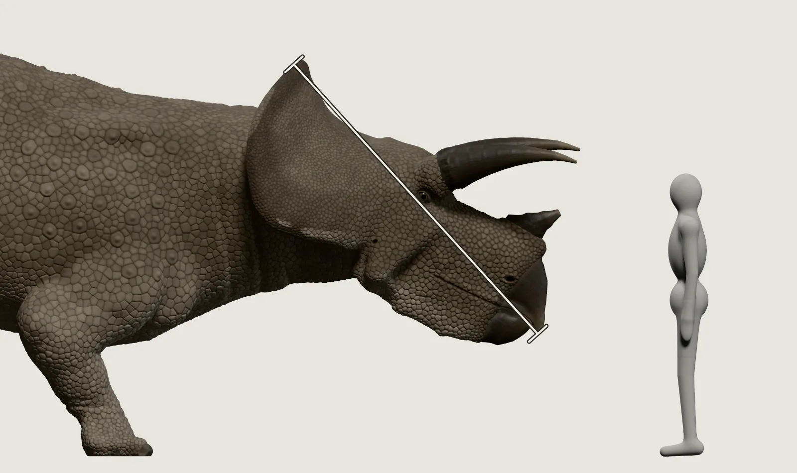 Der Kopf des Triceratops aus der Nähe, von der Seite: der Schnabel, das Auge unter einem langen Horn, dahinter der aufragende Nackenschild. Daneben der graue Mensch, dessen Kopf auf Höhe der Hornspitze liegt.