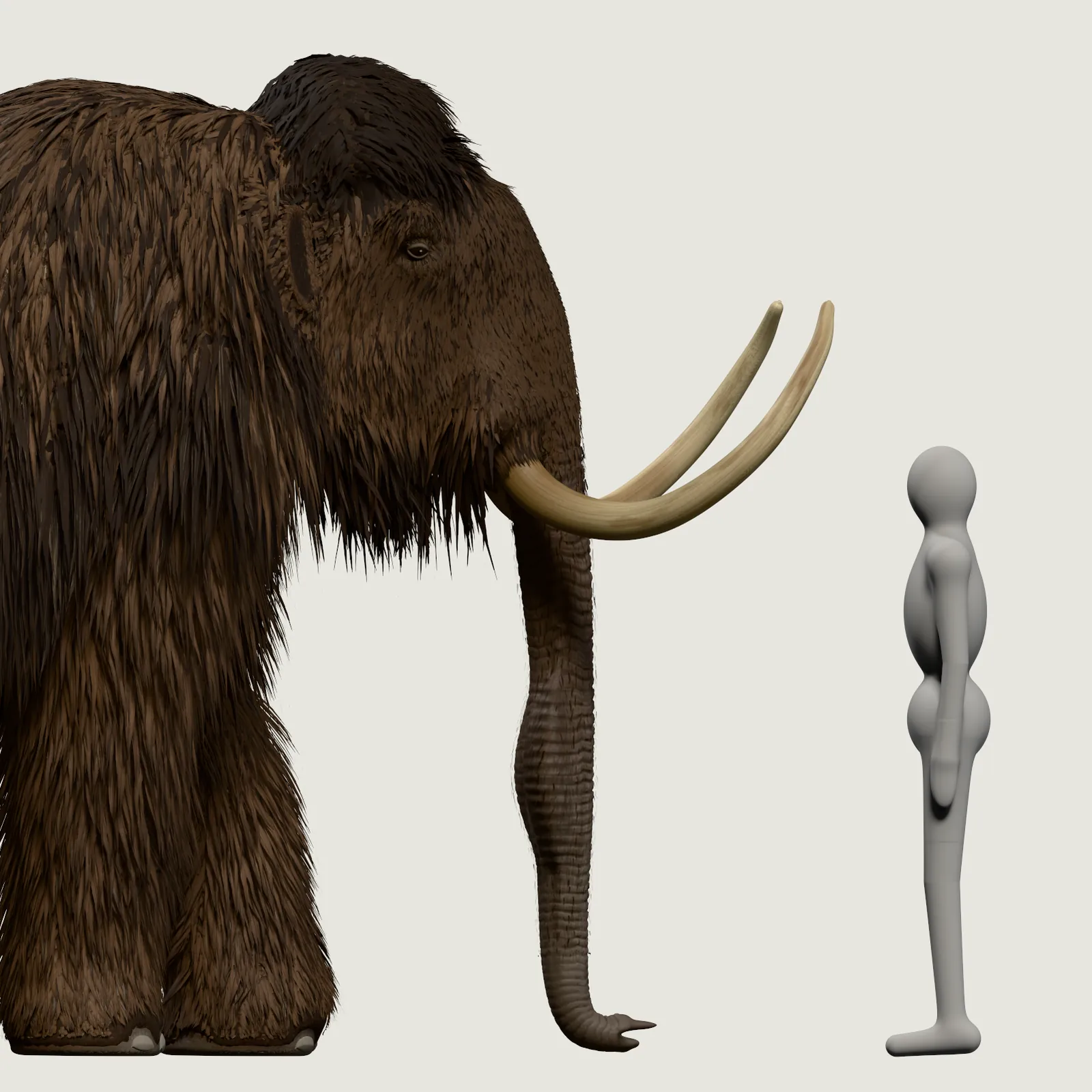The woolly mammoth's head closer up: the eye in long hair, the trunk's fingered tip on the ground, two curved tusks. The grey person stands beside it.